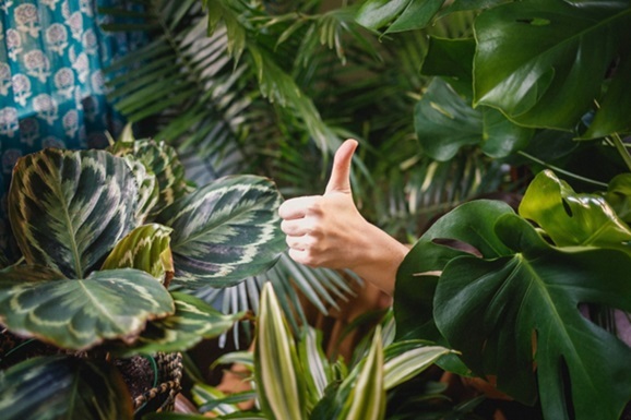 5 indices de recommandation client à ne pas négliger